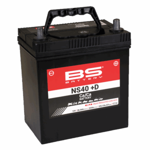 BS_CaCa_NS40+D_LD